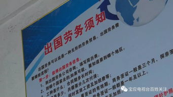 出國勞務與留學的雙重陷阱 為何夢想尚未啟航，財富已先行蒸發(fā)